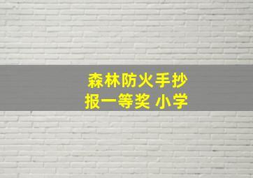 森林防火手抄报一等奖 小学